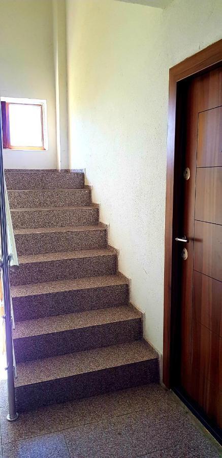 Sarah Apartment 康斯坦察 外观 照片
